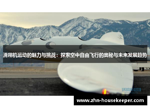 滑翔机运动的魅力与挑战：探索空中自由飞行的奥秘与未来发展趋势